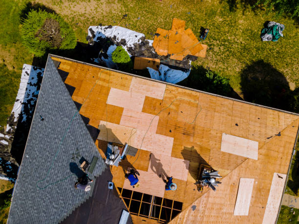 Best Shingle Roofing Installation  in Franklin, VA