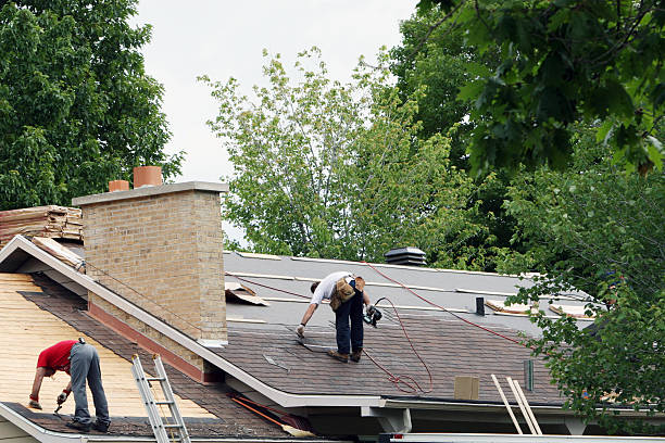 Best New Roof Installation  in Franklin, VA