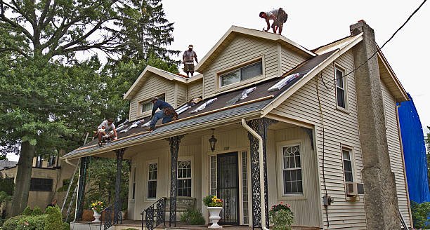 Best Storm Damage Roof Repair  in Franklin, VA